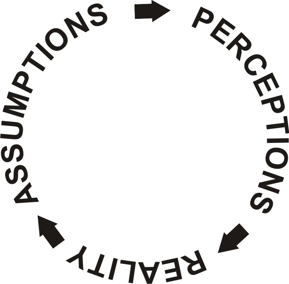 The Assumptions-Perceptions-Reality Triad