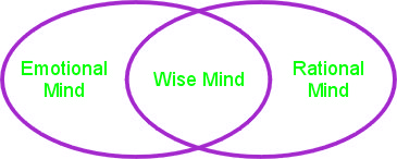 This image has an empty alt attribute; its file name is WiseMind-1.jpg