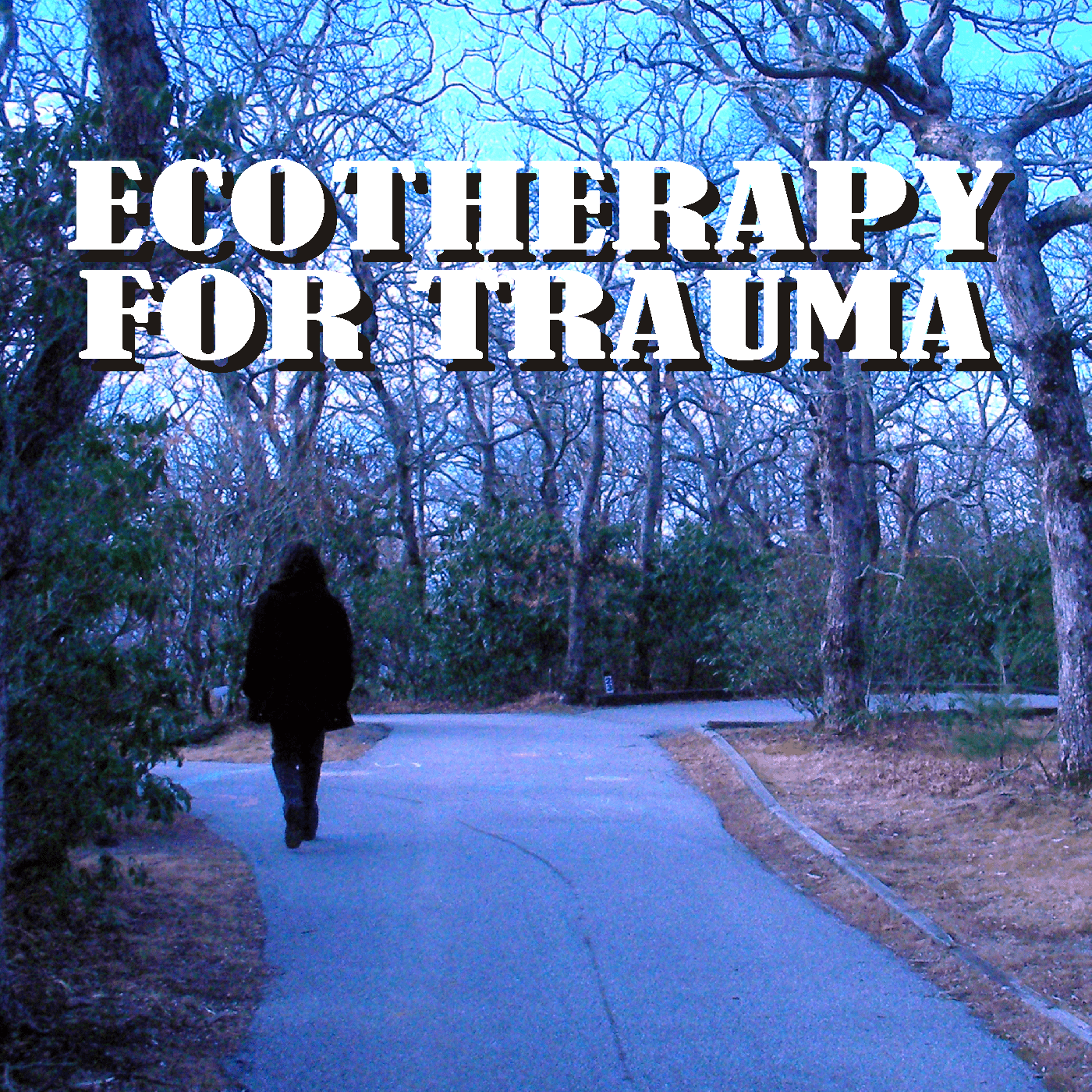Ecotherapy for Trauma