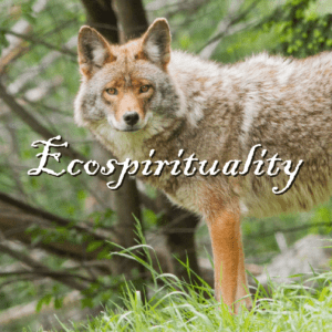 Ecospirituality