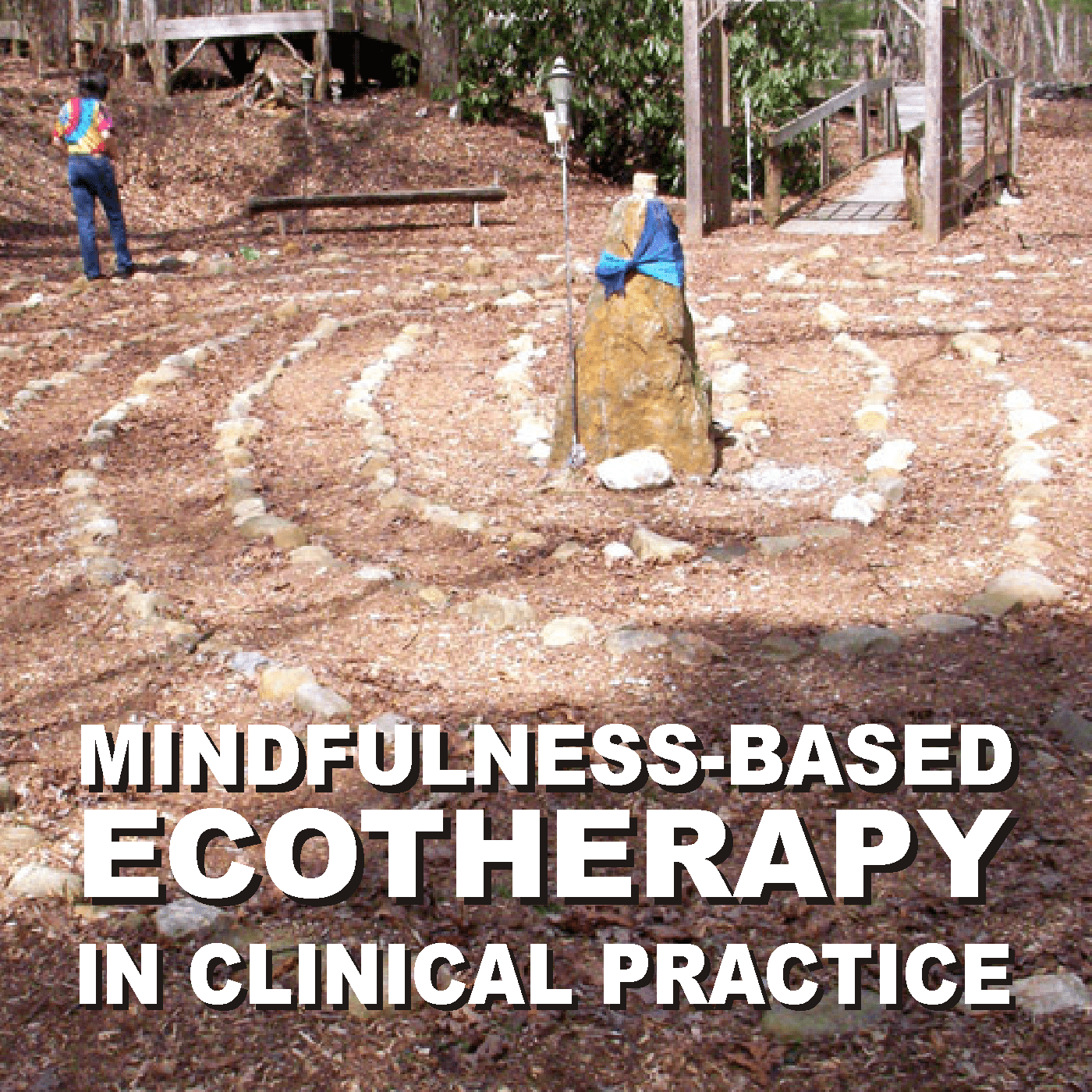 Mindfulness-Based Ecotherapy in Clinical Practice