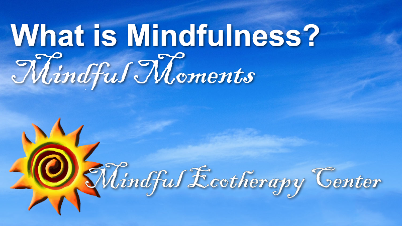 MIndful Moments: What is Mindfulness?