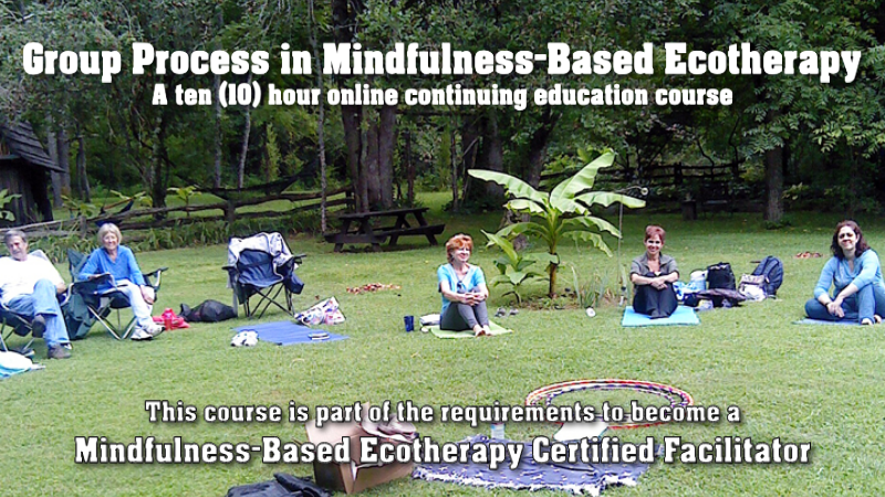 GROUP PROCESS IN MINDFULNESS-BASED ECOTHERAPY