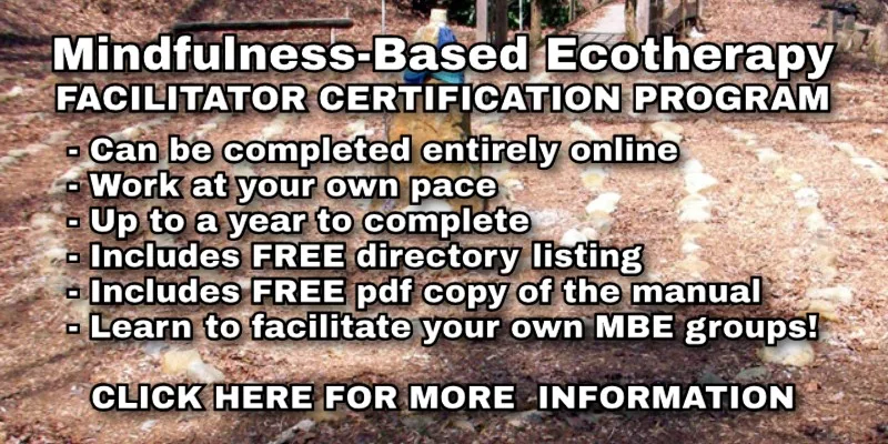 COURSE ARCHIVE COURSES ABOUT MBE FACILITATOR CERTIFICATION
